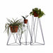 elevenpast Tri-Planter Stand