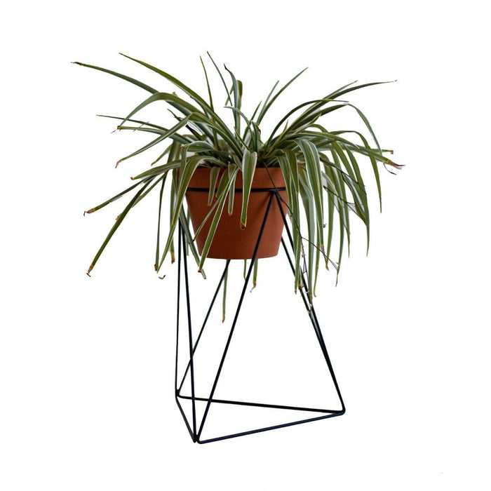 elevenpast Tri-Planter Stand