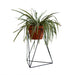 elevenpast Tri-Planter Stand