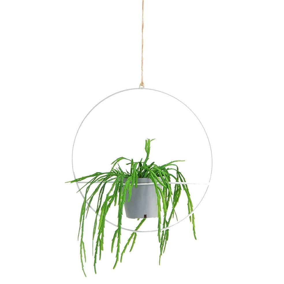 metal hoop hanging planter Ring Hanging Metal Planter– elevenpast